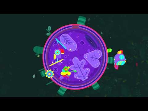 GNOG Walkthrough - LOG