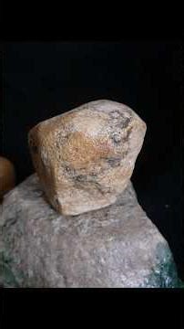 Rock art effigy totem Part 9 of 10 Fossilized Bones