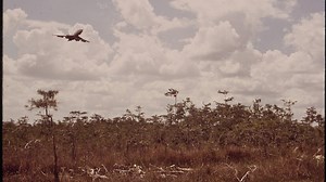 The history of the 'Alligator Alcatraz' airstrip and how Palm Beach County was involved