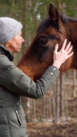 Just because you are old.. Doesn’t mean your not important♥️ #elderwisdom #horseleader