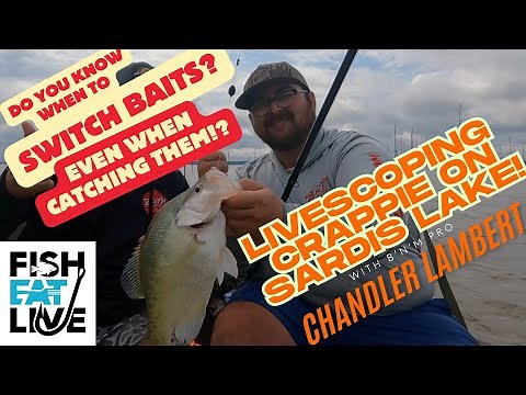How to Livescope Sardis Lake Crappie with Chandler Lambert Fish Eat Live