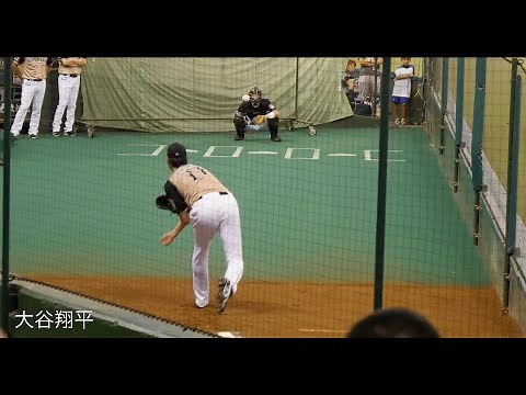 プロの投手のストレート①