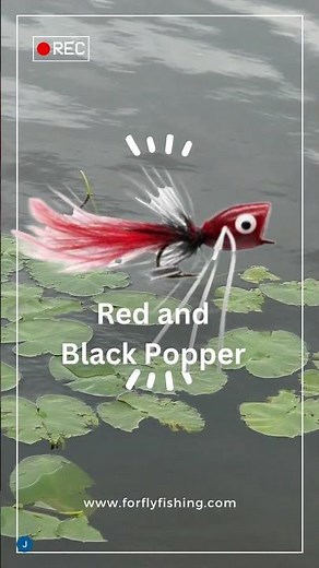 What is a Popper Fly