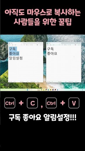 아직도 마우스로 복사하는 사람을 위한 꿀팁 #윈도우단축키