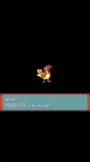 Pokédex #017 – Pidgeotto Evolves Into Pidgeot | Pokémon FireRed 🔥