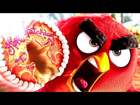 ANGRY BIRDS "Cake in the Face" Scene 4K ᴴᴰ