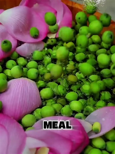 Lotus plants are prepared into a springtime snacks #foryoupage #triding #viral #fruit #usa