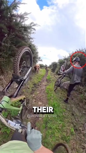 You Won’t Believe What This Bull Did Next…