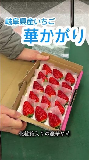 豪華化粧箱仕様の #華かがり ちょっとした贈り物に最適です！