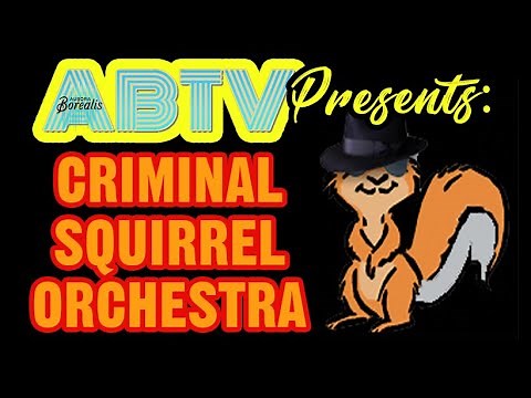 Criminal Squirrel Orchestra - Virtual Concert