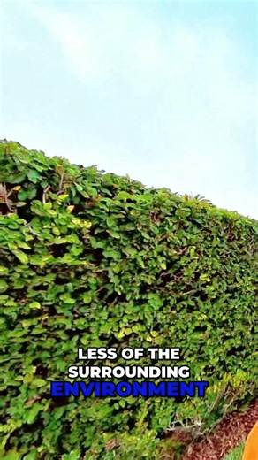 Why Cropping Doesn’t Fix Photos 📸