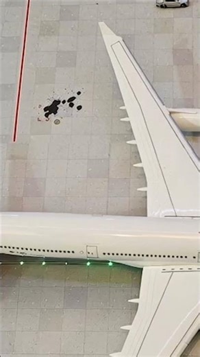 🎥 Airbus A340-600 – Der Langstreckenriese | The Reliable Long-Haul Aircraft Lufthansa