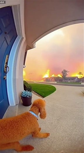 The Sirens Weren't a Warning, They Were a Countdown ⏳🌪️