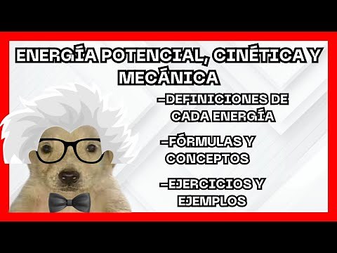 Potential, Kinetic and Mechanical Energy in Detail (Simple and Easy) | Physics.