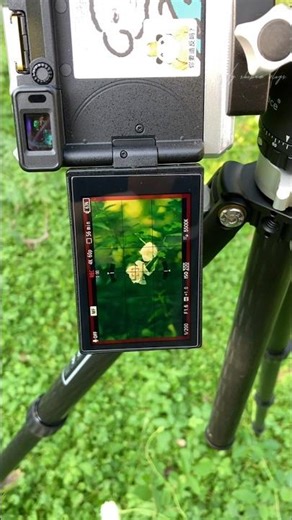 Sony A6700 – A Cinematic Review is it worth it ? | 8k-Ultra photography