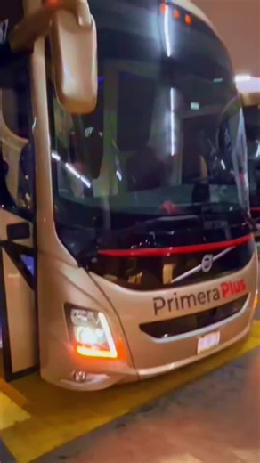 Viaja con Primera Plus y descubre su magia en movimiento