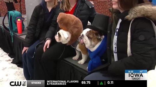 Drake’s ‘Griff-Hog’ predicts sunny weather for 2026 relays