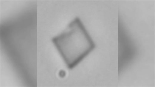 UH PROFESSORS FIRST TO TAKE IMAGES OF HOW CHOLESTEROL FORMS CRYSTALS IN THE BODY