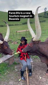 Welcome to Bigogwe — Rwanda’s new booming tourism magnet. A land of endless green farms, majestic cows, and a warm, unique community. This is more than tourism — it’s a homecoming. A place where tradition lives, nature embraces you, and culture speaks to your heart. #rwanda #kenya #travel #nature #cows #africa #africa #bigogwe #visitrwanda #village #visitrwanda #life #nature #love #traditional #tourism #adventure | Visit Bigogwe