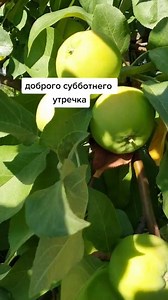Я худею – смотреть плейлист, все 13 видео подборки от "Елена Назарова-Корсакова" онлайн в хорошем качестве на RUTUBE (29871)