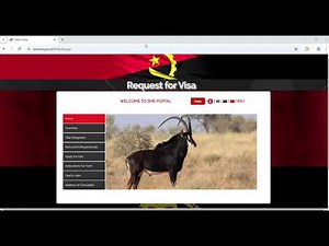 Angola Visa How to Apply -Complete Guidance and Detail Visa Video #afro
