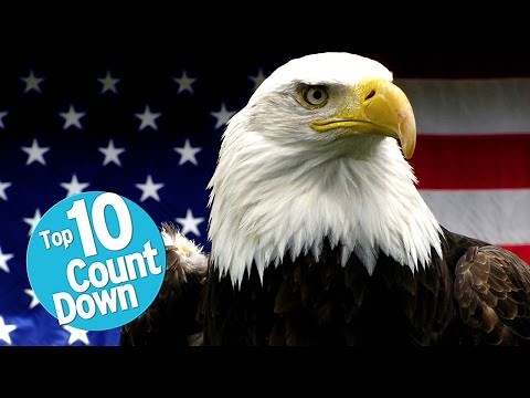 Top 10 Greatest Symbols of America