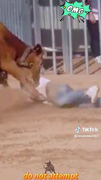 Bullfighting Diary on TikTok