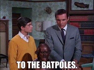 To the Batpoles.