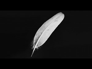 I COVERED EVERY CIGARETTES AFTER SEX SONG [2012-2020]