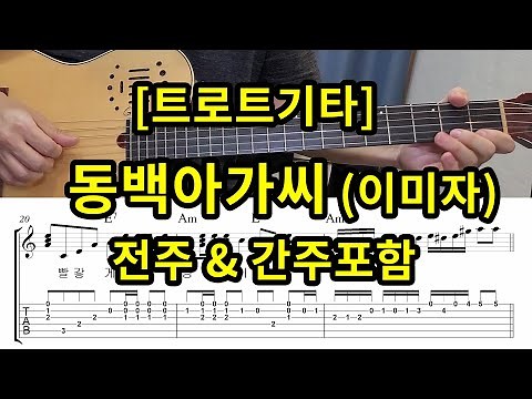 [트로트기타] 동백아가씨 (이미자) 전주& 간주및 전곡 연주