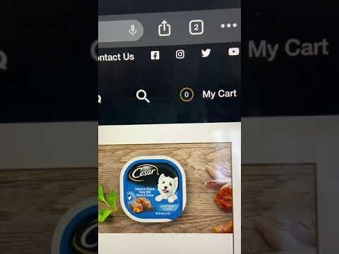 CESAR Dog Food Review