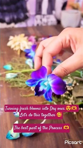 How to Dry Flowers Fast with Silica Gel 😱| DIY Experiment 🧪#resin #silicagel #silica #diy #shorts