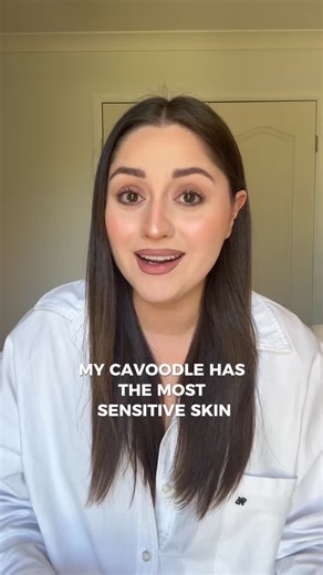 mycavoodle on Instagram: "Have you tried every shampoo, but your Cavoodle still scratches non-stop? 😩⁠ ⁠ We know the feeling. My own Cavoodle has the most sensitive skin, and bath time used to make me so nervous!⁠ ⁠ That's why we formulated our shampoo and conditioner to be the solution: gentle, pH balanced, and made with NO nasties or irritants.⁠ ⁠ Now, you can look forward to a soft, fluffy coat and a truly happy pup! ⁠ .⁠ .⁠ #SensitiveSkinDog #CavoodleItch #DogGroomingSolution #HappyPup #MyC