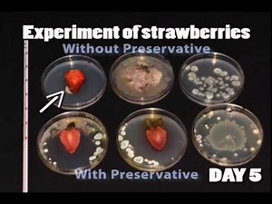 Food preservation - A brief introduction