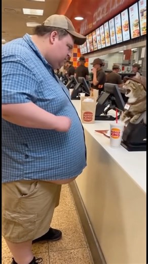 Man Yells at Cat for Messing Up His Burger King Order 😂🍔🐱 #Angry #BurgerKing #FastFood
