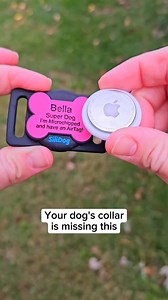 250K views · 4.3K reactions | Dog parents using AirTag / SmartTag /...