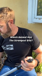 851K views · 10K reactions | What animal has the strongest bite force? | Forrest Galante | Facebook