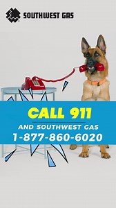 Learn the tips of how to see, smell & hear a natural gas leak and feel confident knowing what to do to keep yourself safe. | Southwest Gas Corporation