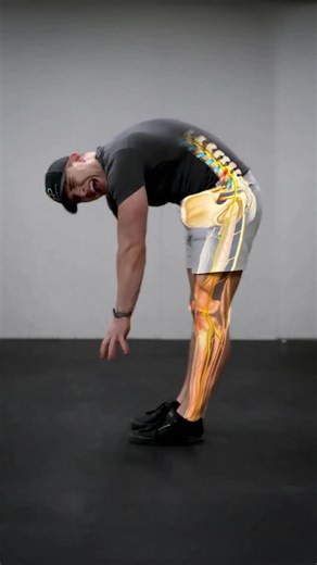 Recover Pain | Chronic Back Pain & Sciatica on Instagram: "💥 What Is A Herniated Disc? 😨 A herniated disc occurs when the outer layer of your disc, the annulus cracks allowing the inner disc layer to protrude out/ ❌ Common symptoms are pain, tingling or numbness in the lower back, buttocks or legs. Here’s how to get pain-free in 3 steps: 1️⃣ Circular Cat-Cows These can help reduce inflammation around your disc. 2️⃣ Reverse Lumbar Extension This one can help reduce your herniation and release p