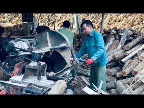 Veneer Wood Processing Process