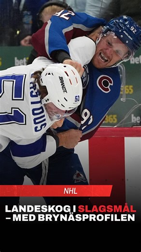 Hockeysverige on Instagram: "LANDESKOG VS. D’ASTOUS 🥊 En oväntad duell i nattens möte mellan Colorado och Tampa. Video: @br_openice #landeskog #gabelandeskog #goavsgo #tampabaylightning"