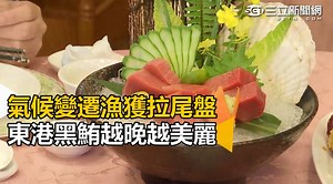 大家有吃過 #東港 #黑鮪魚 嗎？光看就令人流口水啊～～～ 快來加我【三立新聞網LINE】給你更多新聞：http://goo.gl/Te1ifA 快來追蹤【三立新聞網G 】看更多新鮮事：https://goo.gl/a3Iqmo 【滑鼠快移到這裡 >> 三立新聞