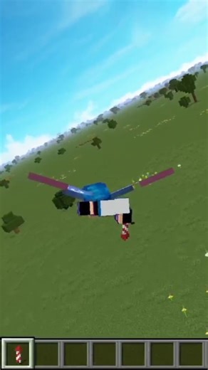 Do a Barrel Roll with Distant Horizons Mod #minecraft #shorts