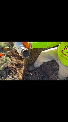 Septic tank drainfield failed: pack full of roots 🌳 #fyp #viral #bluecollar | Poop Juice Tv