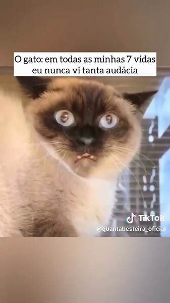 Olha isso 😂 . . . #humor #engraçado #funny #comédia #meme