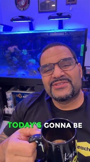 Caught the lazy bug on the Reef Tank! 🫣 Reef tank powered by @seachem_laboratories & @aqua.vitro Dosing: Seachem Fusion 1&2 Seachem Nitrogen Seachem Phosphorus Aquavitro Ions Aquavitro Fuel Aquavitro Salinity By way of Aquavitro Sentía Doser - - - 📲 Free Aquarium App → @Aquabuildr 💎 Luxury Installs → @KaveManSignature #aquariumhobby #aquarium #saltwateraquarium #reeftank #fishkeeping | KaveMan Aquatics