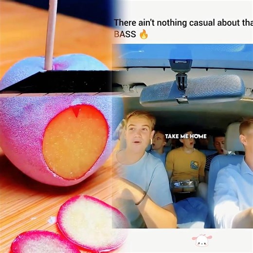 John Denver - Take Me Home, Country Roads #countryroads