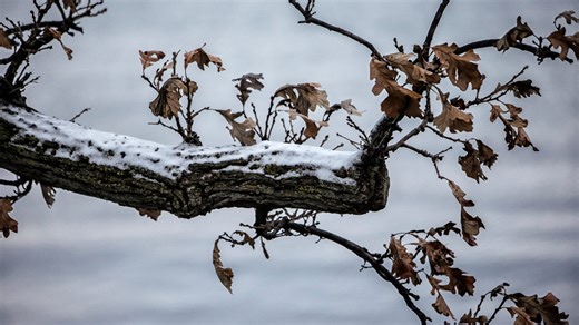 How cold will Oshkosh's winter be this season? Here's what the experts had to say.