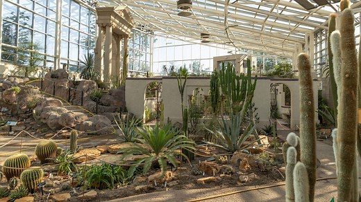 Missouri Botanical Garden opens new conservatory for desert plants