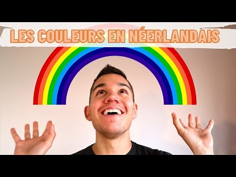 Couleurs en néerlandais 🌈 apprendre le néerlandais 🇳🇱 pour débutants - vocabulaire de base